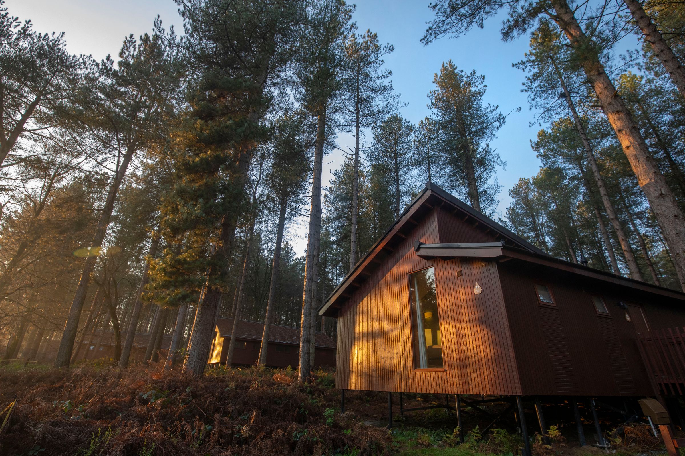 Golden Oak Hot Tub Cabins At Delamere Forest Cheshire