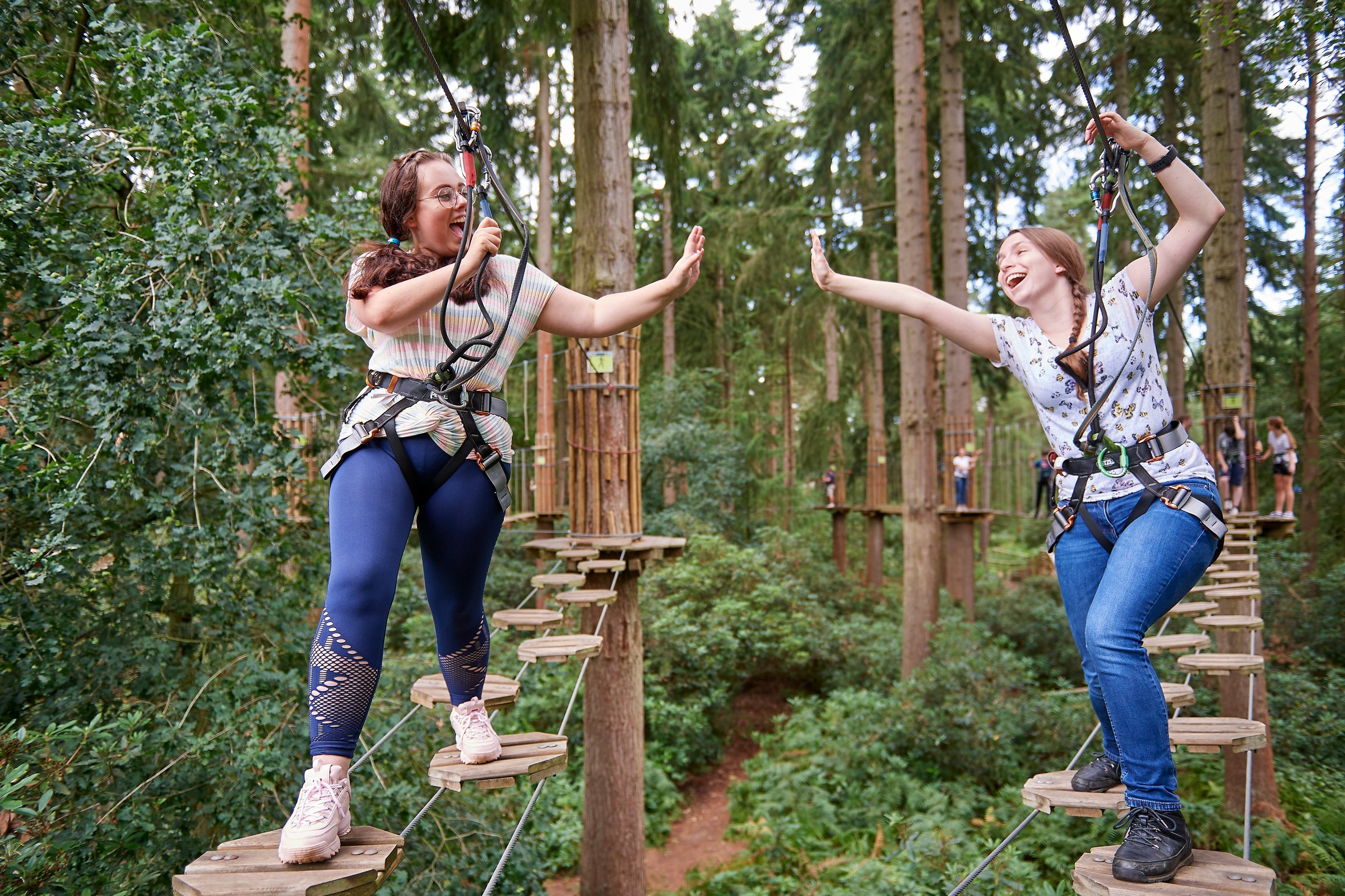 Go Ape: The story of a forest adventure