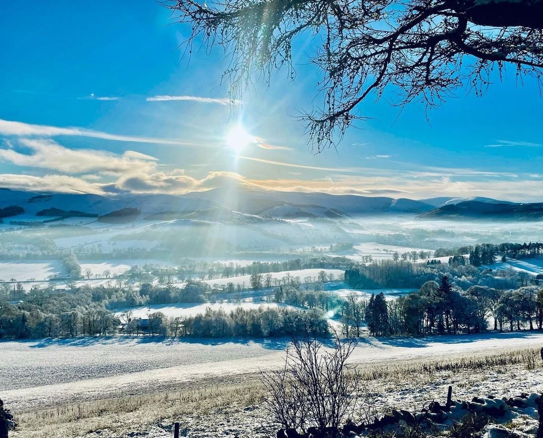 Our first Christmas in Glentress Forest