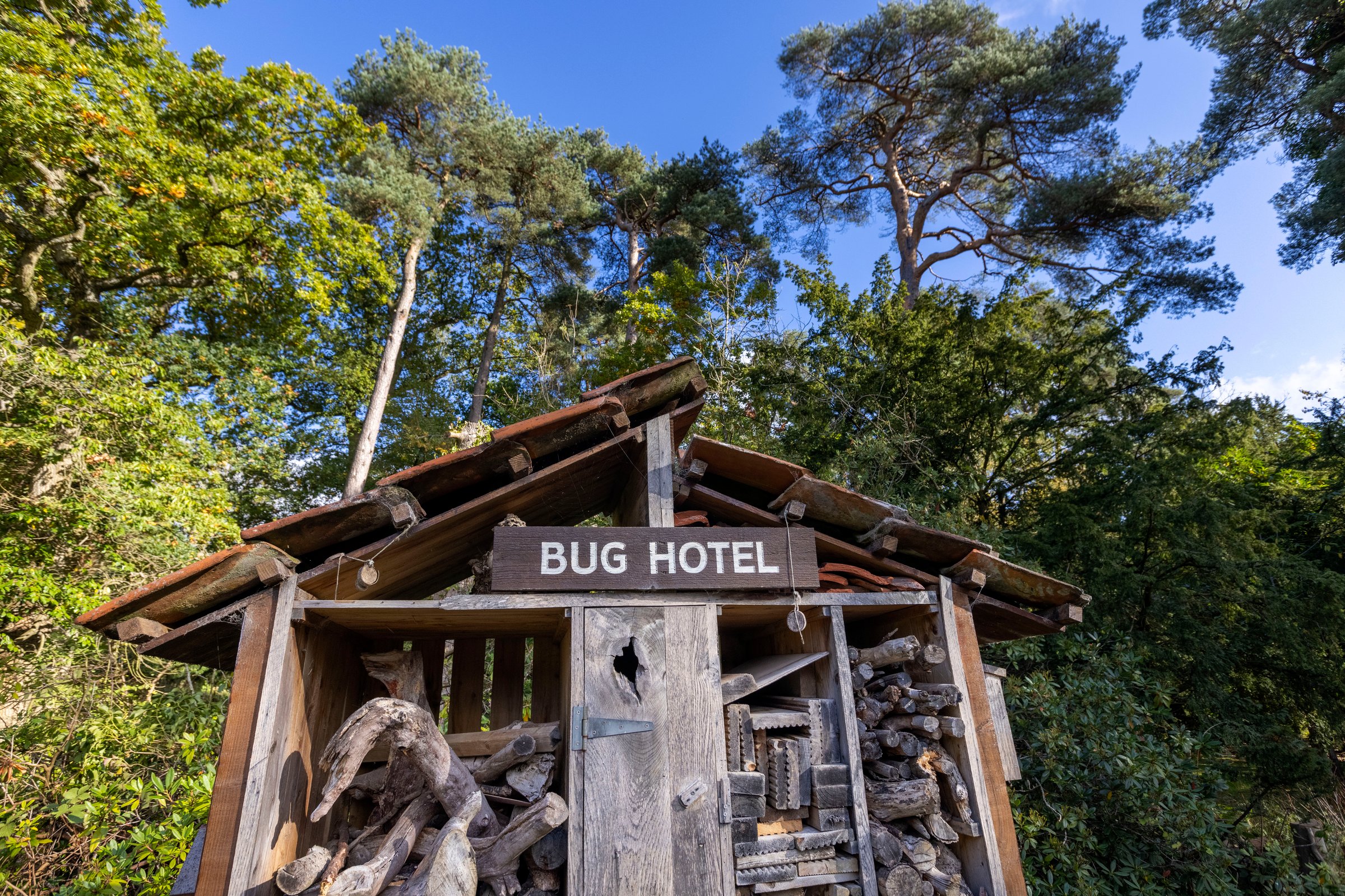 How to build a bug hotel