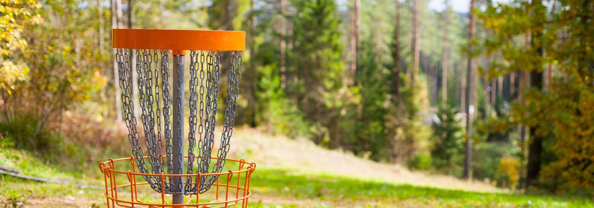 New activity: Forest Disc Golf 