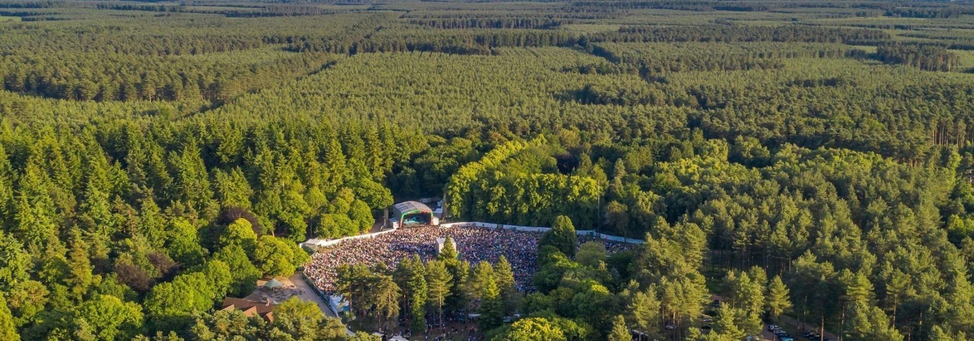 Forest Live