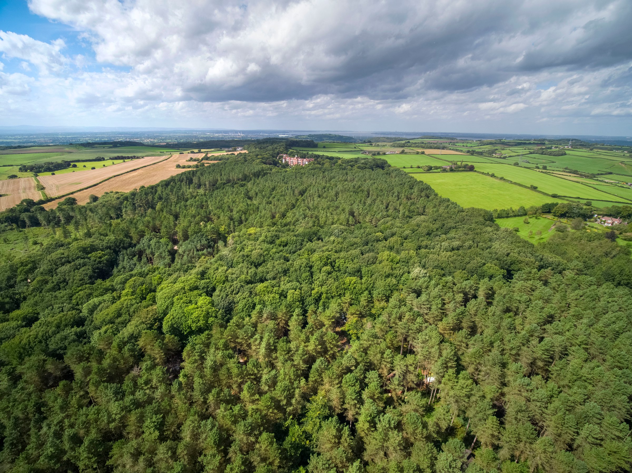Playing our part in Delamere Forest's future