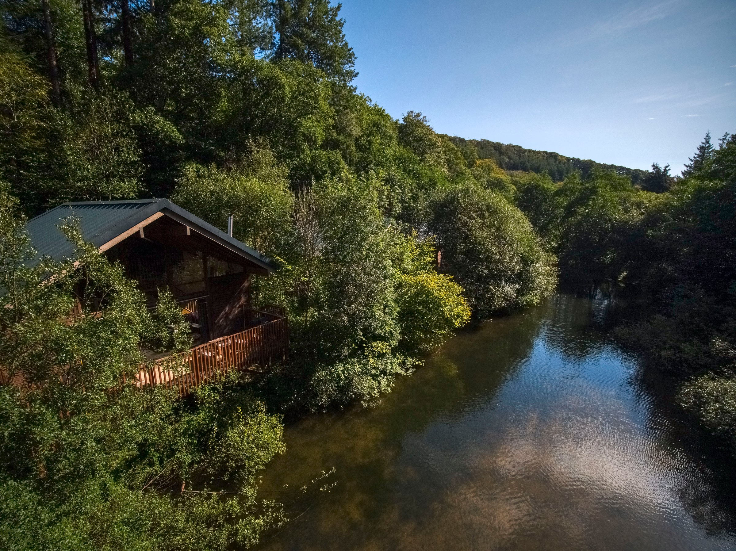 Add a little bit of #ForestFeeling to your break...