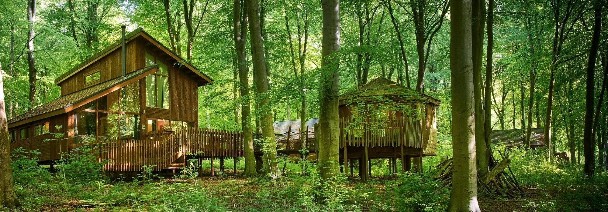 Discover treehouse cabins at 9 of our locations