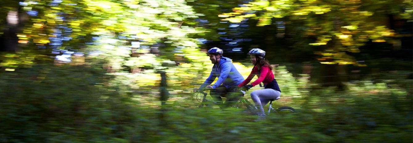 10 of the best forest cycle trails