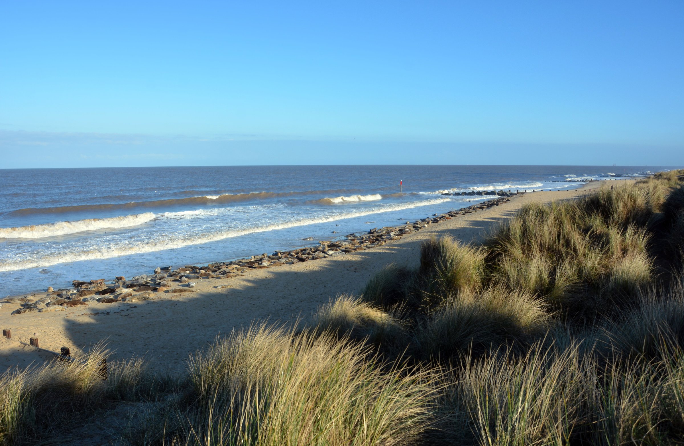 Discover the best Norfolk cycle routes
