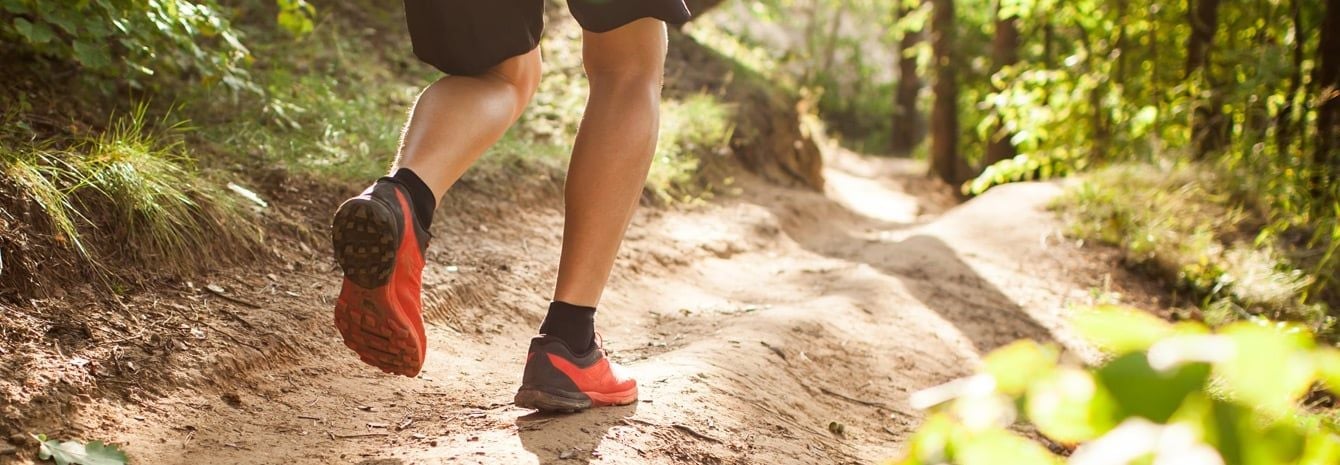 A beginner's guide to trail running