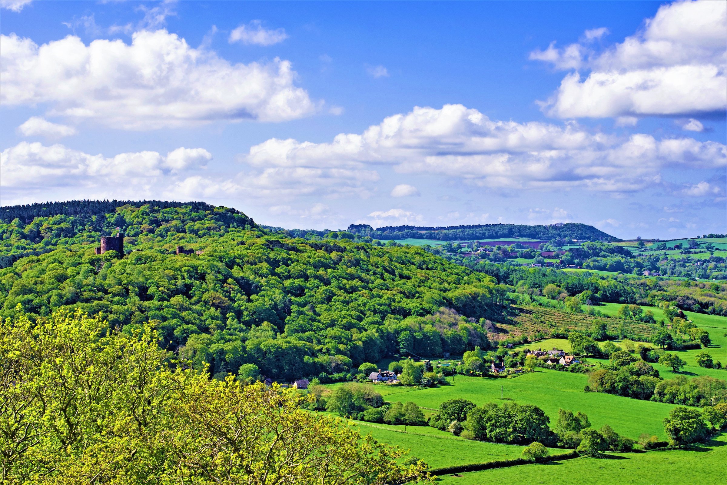Discover the best walks in Cheshire