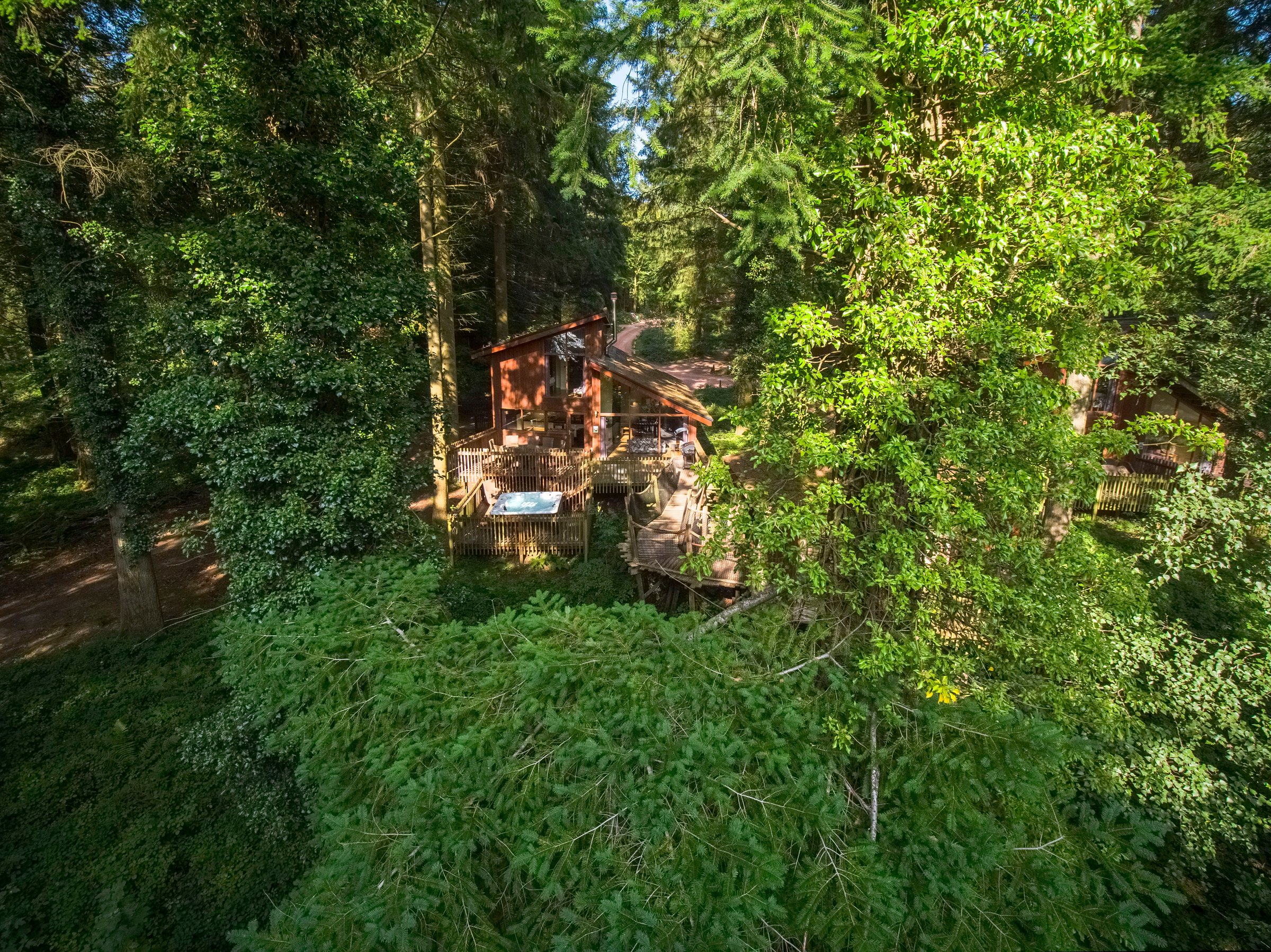 Golden Oak Treehouse at Forest of Dean, Gloucestershire