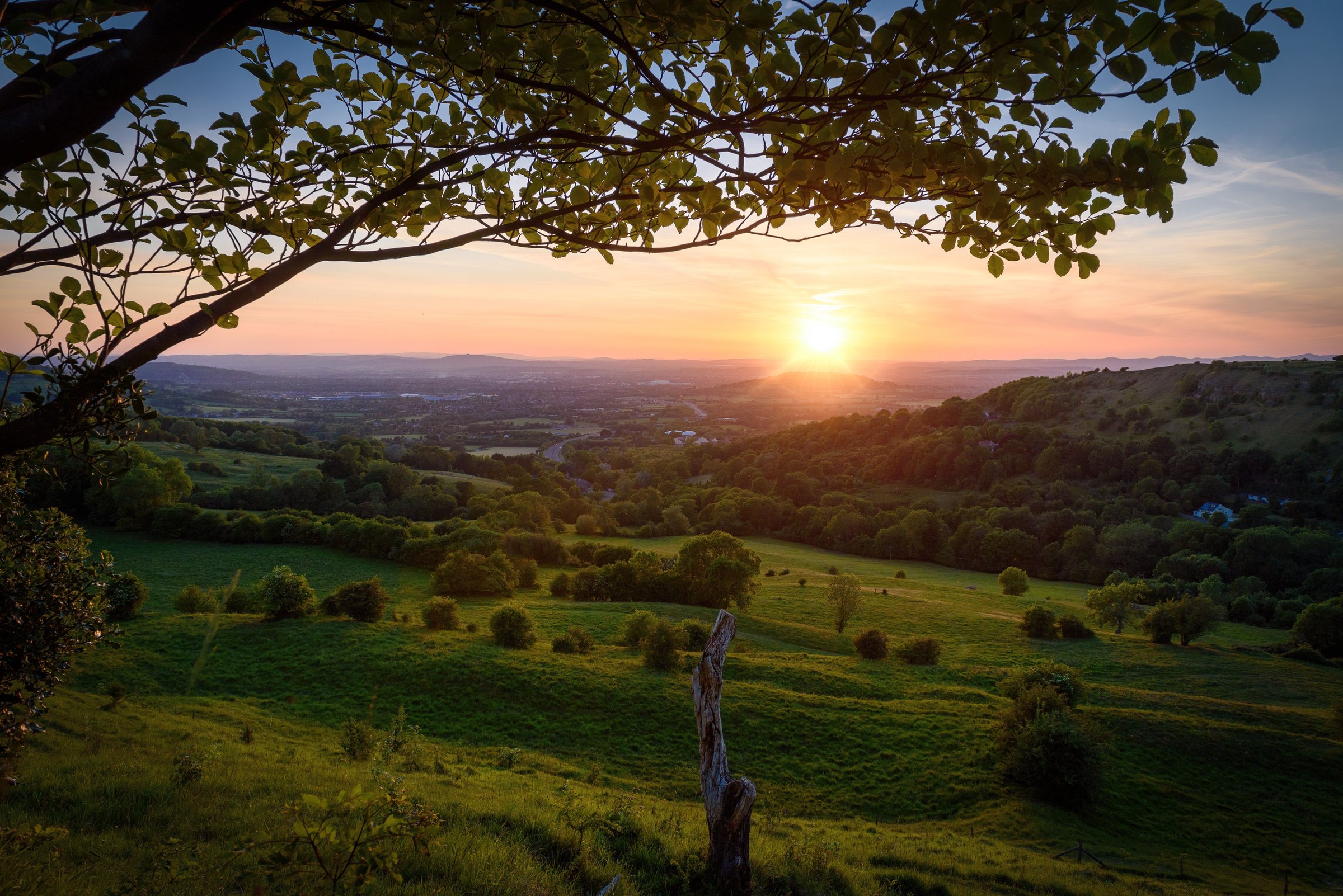 Walks & trails at Forest of Dean, Gloucestershire