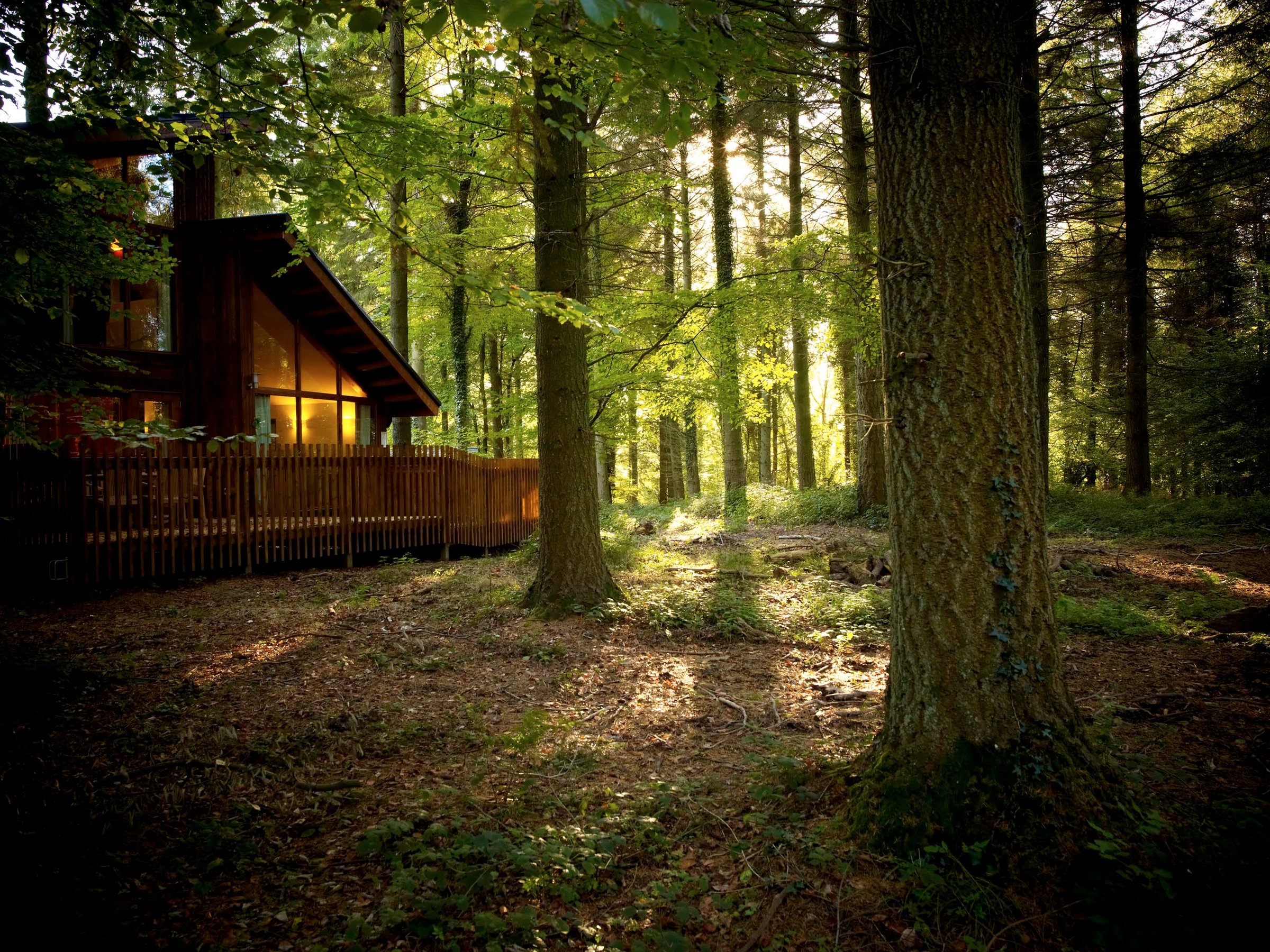 Cabins at Forest of Dean