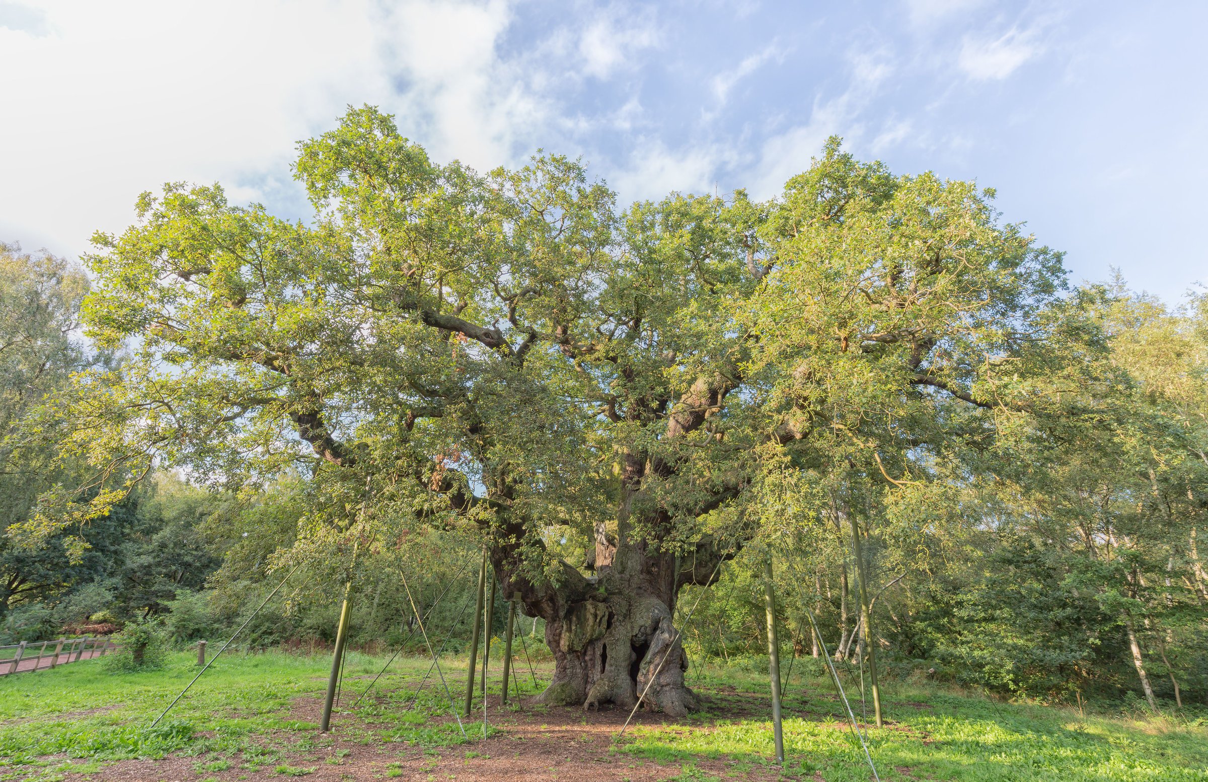 What's nearby at Sherwood Forest, Nottinghamshire