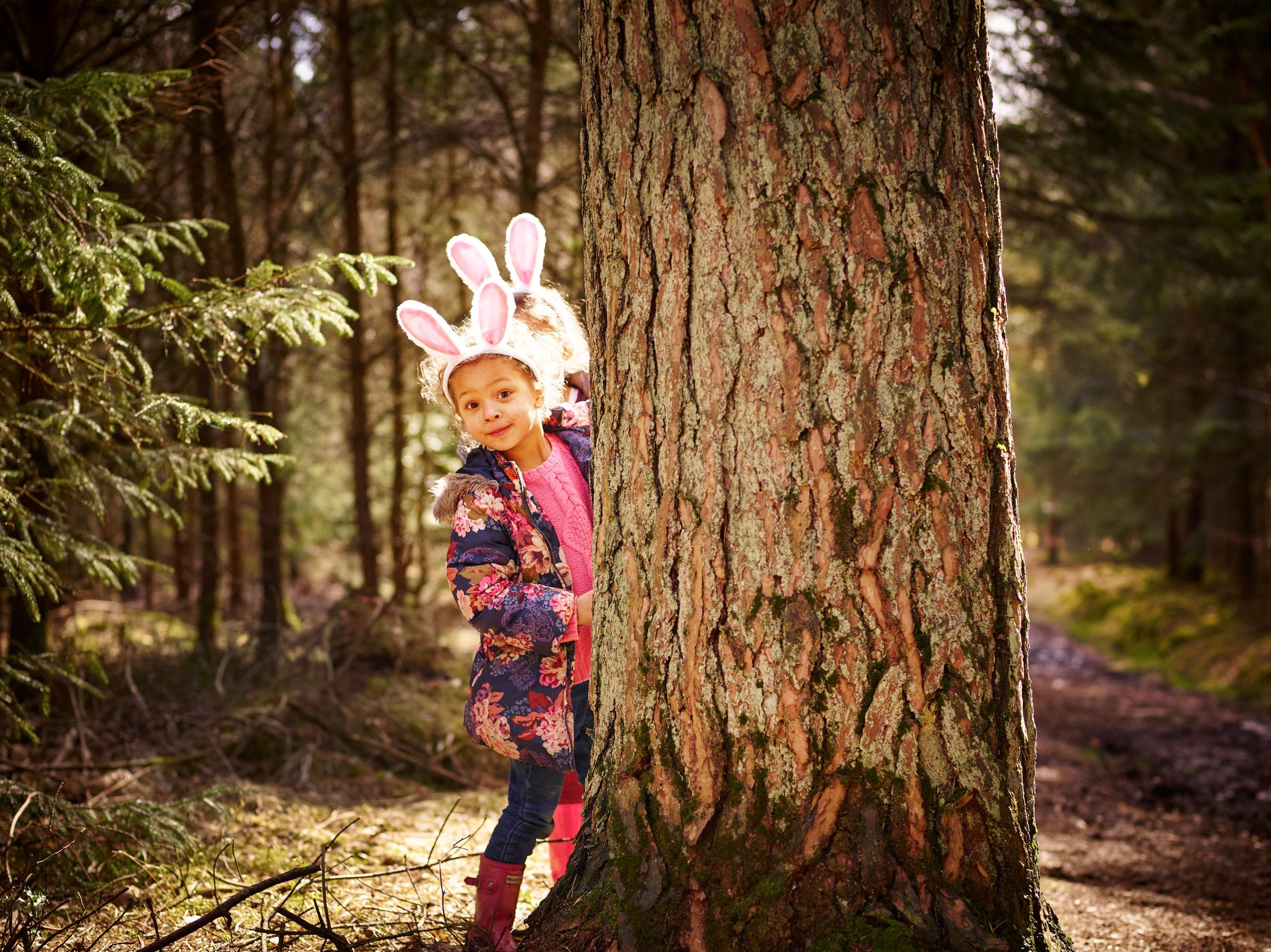 UK Easter breaks and holidays in the forest