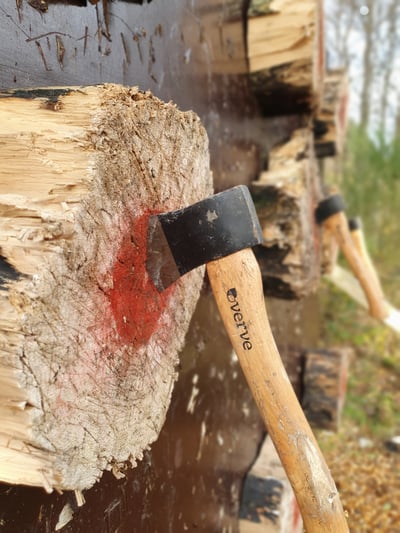 Archery tag & Axe combo
