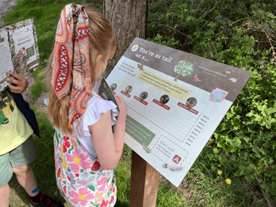 Self led trail