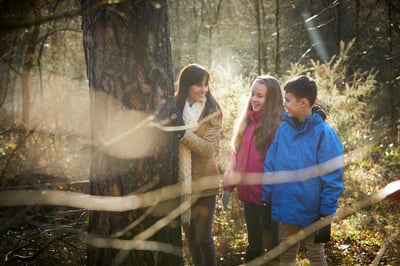 Fairy door hunt