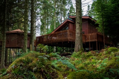 Glentress Forest