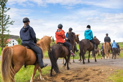 Horse Riding