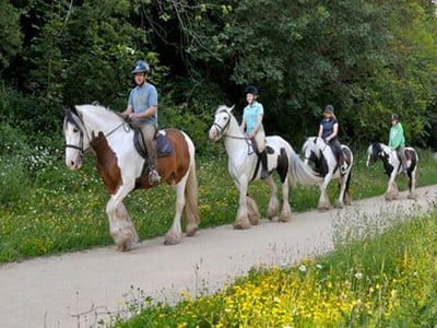 Pony trekking