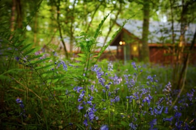 Spring holidays
