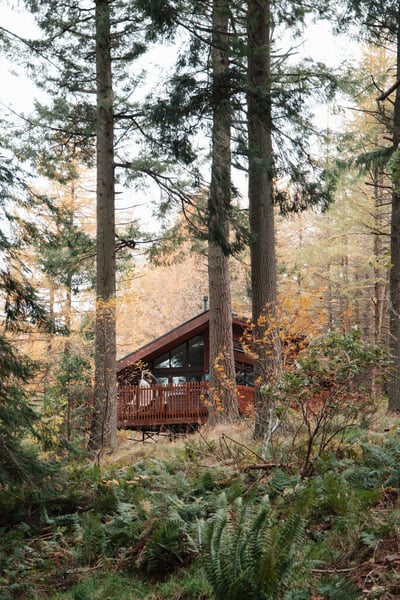 Glentress Forest
