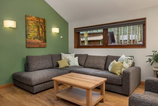 New style sofa in Golden Oak at Delamere Forest