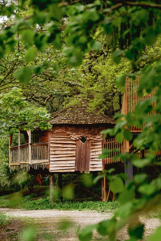 Golden Oak Treehouse at Deerpark, Forest Holidays