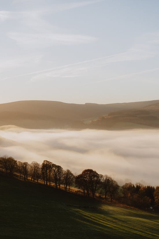 Glentress Forest views