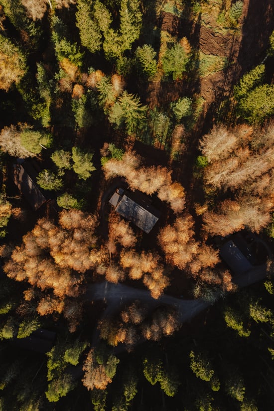 Birds eye view of Glentress Forest