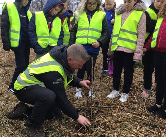 Garwnant tree planting with local school