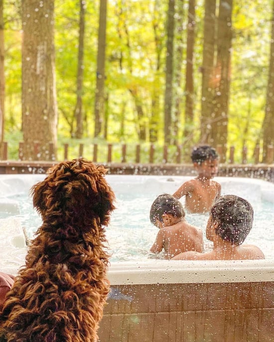 Hot tub image by kylo_the.cockapoo