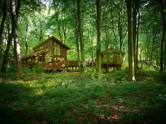 Exterior view of the Golden Oak Treehouse at forest Holidays