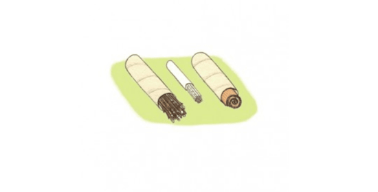 Tubes with forest material hand drawn image