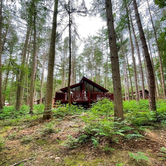 Log cabin image by guest @ourlittleworlduk