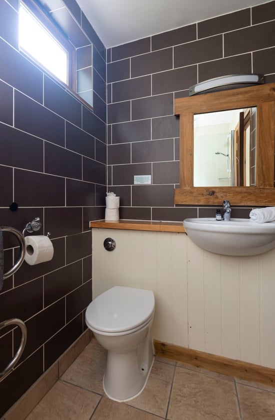 Golden Oak Treehouse bathroom at Deerpark, Cornwall