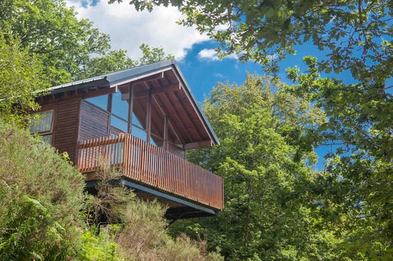 Exterior view of the Silver Birch cabin at Deerpark, Forest Holidays