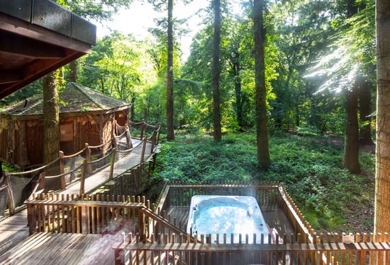Hot tub view over the forest from the Golden Oak Treehouse cabin at Forest of Dean, Forest Holidays