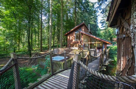 The Golden Oak Treehouse cabins ropeway bridge at Forest of Dean, Forest Holidays