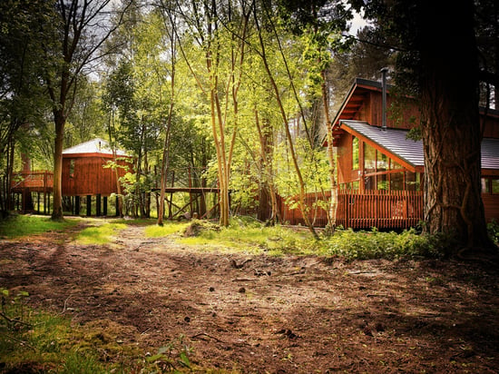 Golden Oak Treehouse cabin exterior view at Thorpe Forest, Forest Holidays
