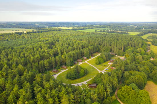 Aerial view of Thetford forest