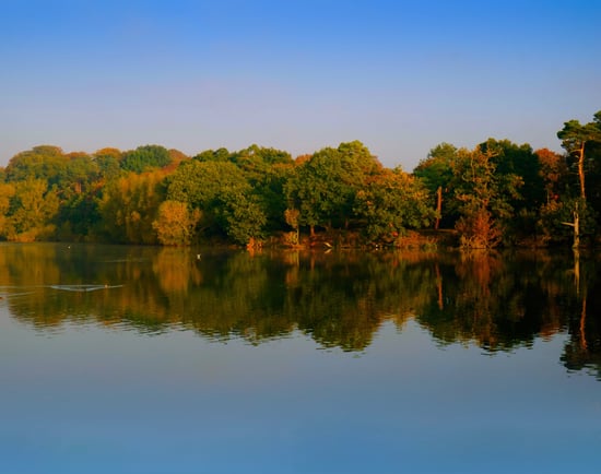 Lake view of Clumber park, Nottinghamshire