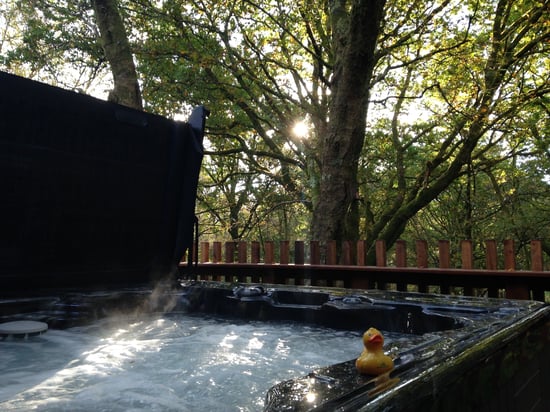 Hot tub lodge at Beddgelert, Forest Holidays