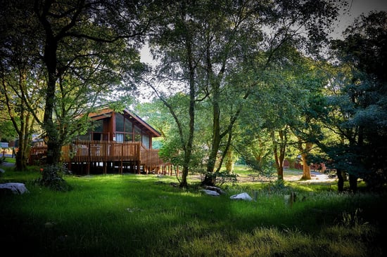Silver Birch cabin at Beddgelert, Forest Holidays