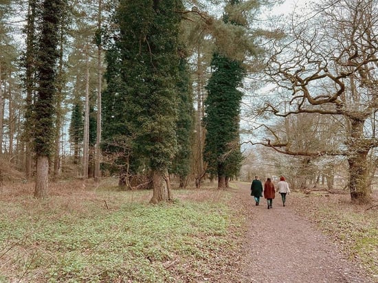 Group walking through the forest