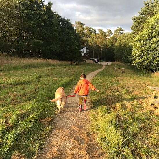 Child and dog running through the forest 