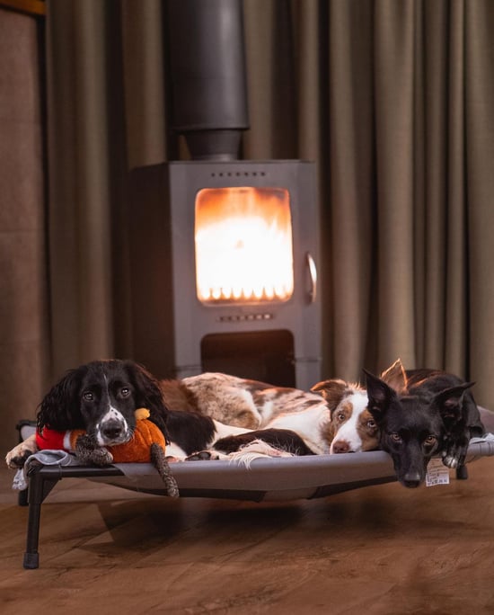Dogs lay in front of a log burner at Forest Holidays