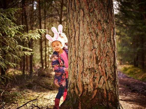 Easter in the forest