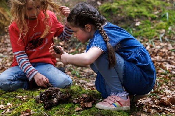 Mini Forest Rangers