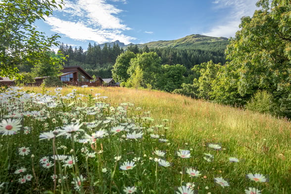 23 - 26 May 2025 - limited cabins!